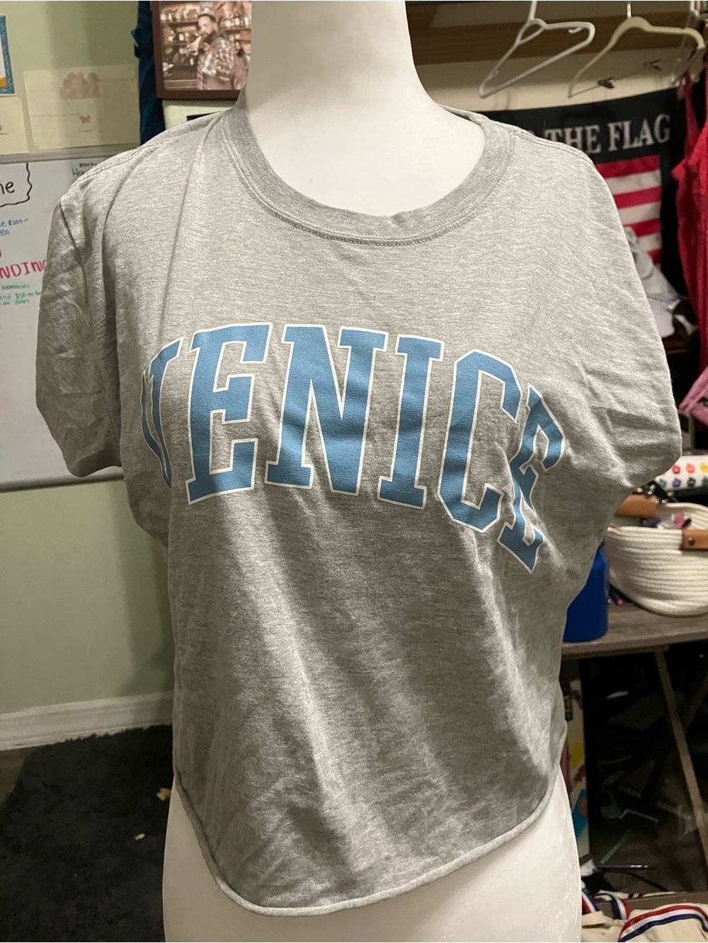 Venice Gray Crop Tee with Light Blue Lettering